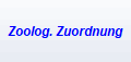 Zoolog. Zuordnung